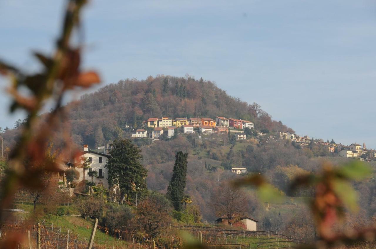 Acquachiara Daire Ponte Tresa Dış mekan fotoğraf